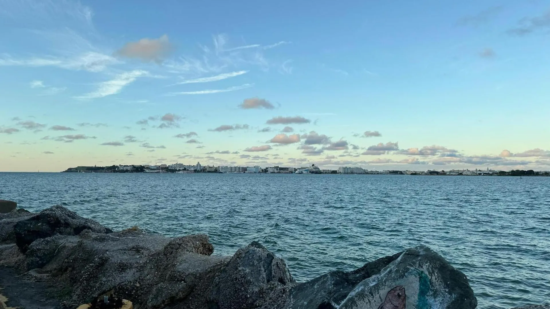 Large Space Close To Ferry With Ocean View, Unit 6 Catano 公寓